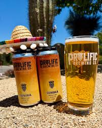 Prolific Sunora Lager